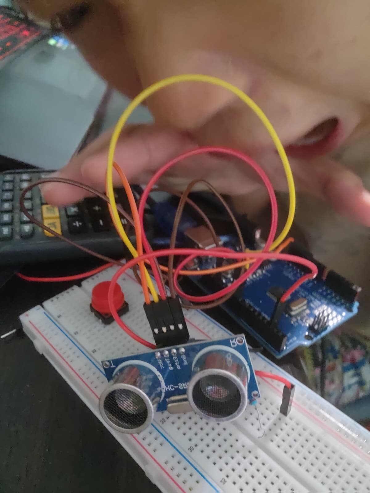 Copy of Narrative Arc's property