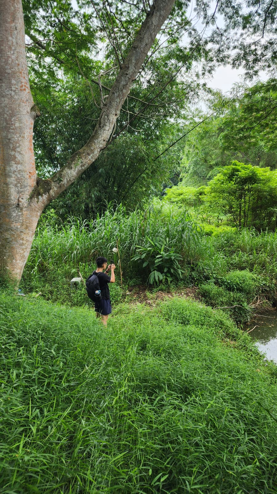 Copy of Narrative Arc's property